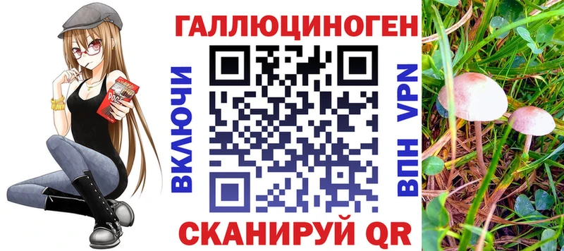 Псилоцибиновые грибы Psilocybe  мега рабочий сайт  Воткинск 