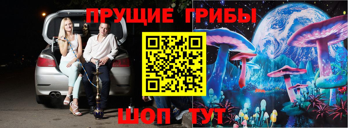 Псилоцибиновые грибы MAGIC MUSHROOMS  Псилоцибиновые грибы GOLDEN TEACHER  Воткинск  Вход с VPN 