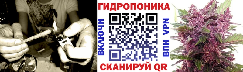 Бошки Шишки VHQ где купить наркотик Воткинск